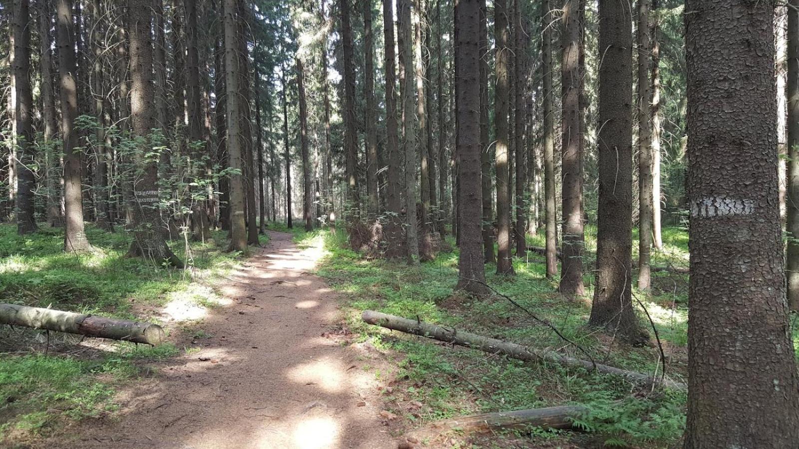 Tammikallio Vierasmaja Casa vacanze Tuusula